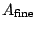 $ A_{\mathrm{fine}}$